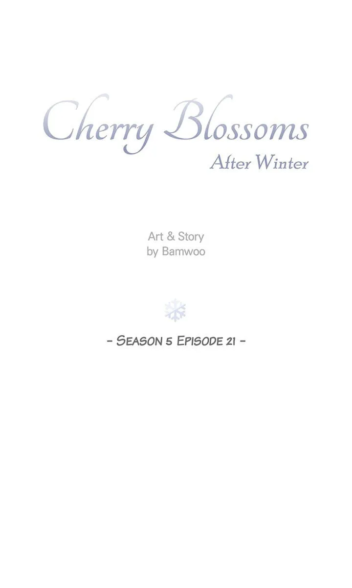 Cherry Blossoms After Winter Chapter 177 page 22 - 