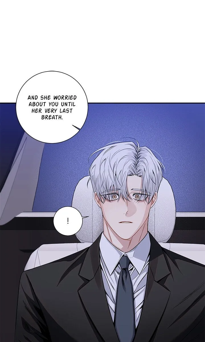 Cherry Blossoms After Winter Chapter 177 page 64 - 