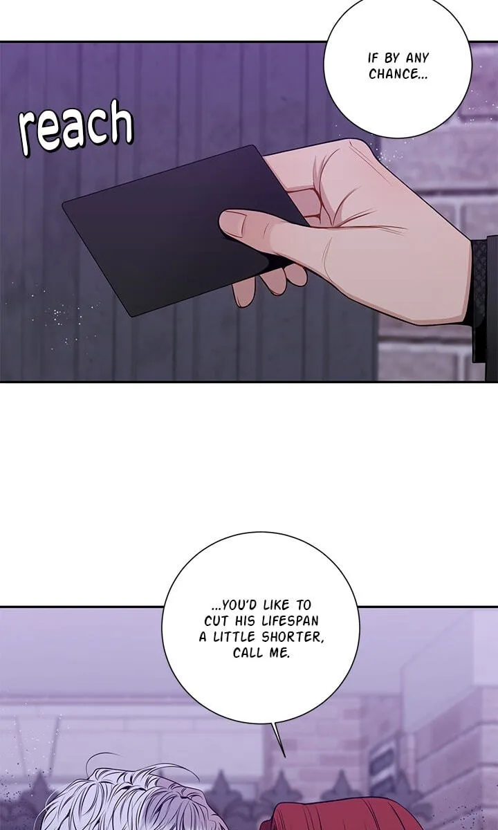 Cherry Blossoms After Winter Chapter 178 page 27 - 