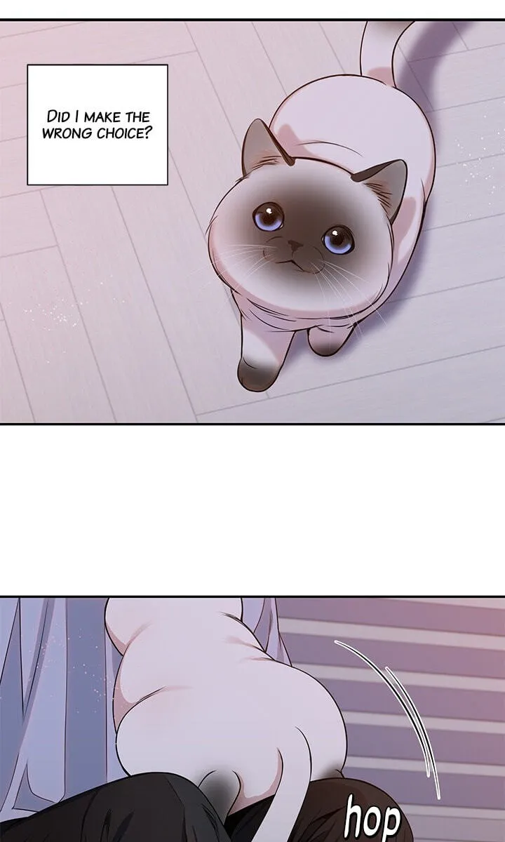 Cherry Blossoms After Winter Chapter 178 page 60 - 