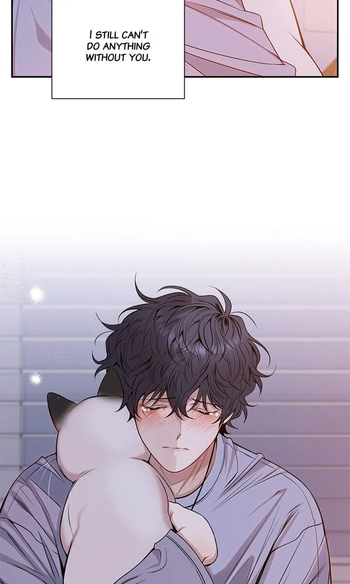 Cherry Blossoms After Winter Chapter 178 page 62 - 
