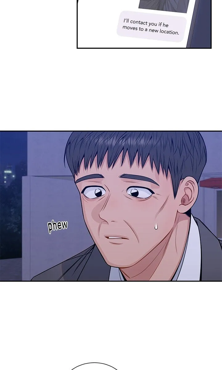 Cherry Blossoms After Winter Chapter 179 page 19 - 