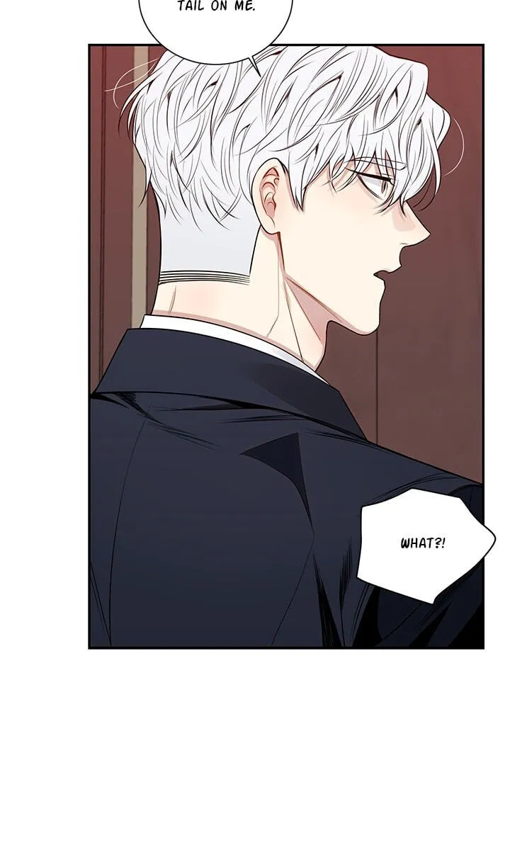 Cherry Blossoms After Winter Chapter 179 page 21 - 