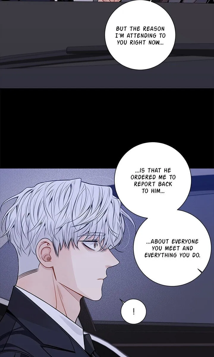 Cherry Blossoms After Winter Chapter 179 page 23 - 