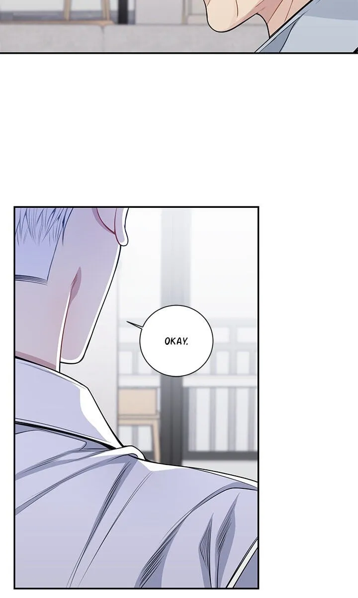 Cherry Blossoms After Winter Chapter 179 page 5 - 