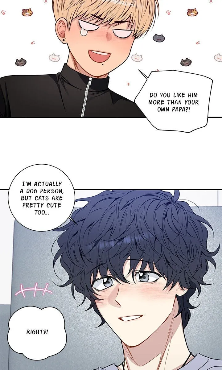 Cherry Blossoms After Winter Chapter 179 page 47 - 