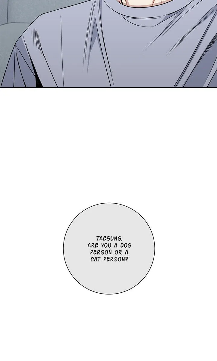 Cherry Blossoms After Winter Chapter 179 page 48 - 