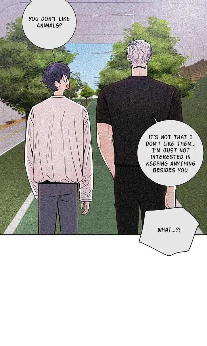 Cherry Blossoms After Winter Chapter 179 page 51 - 
