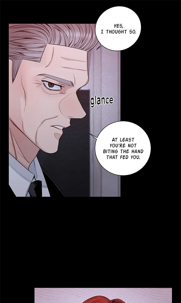 Cherry Blossoms After Winter Chapter 180 page 43 - 