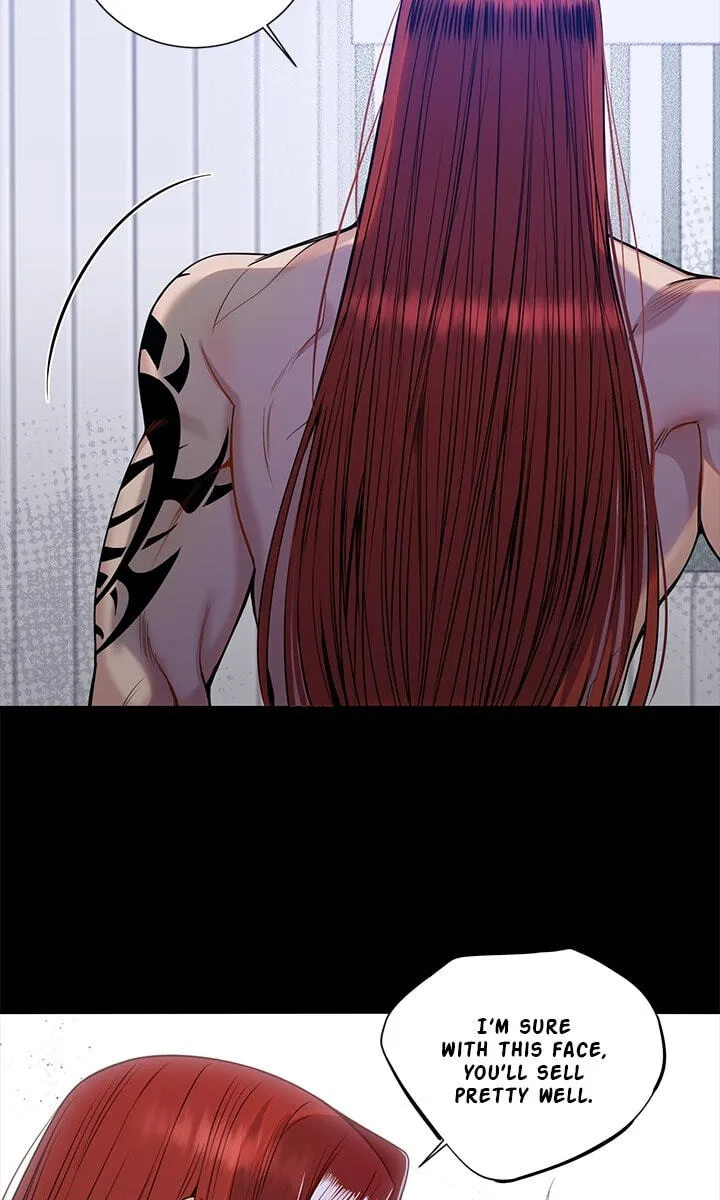 Cherry Blossoms After Winter Chapter 181 page 13 - 