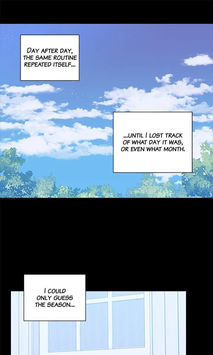 Cherry Blossoms After Winter Chapter 181 page 3 - 