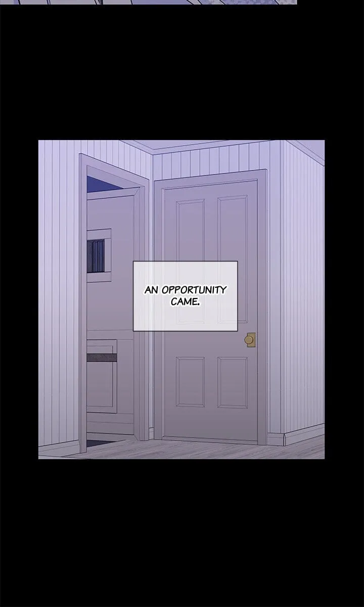 Cherry Blossoms After Winter Chapter 181 page 46 - 