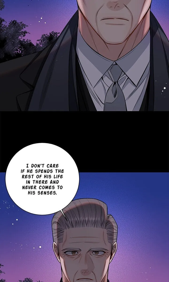Cherry Blossoms After Winter Chapter 181 page 62 - 