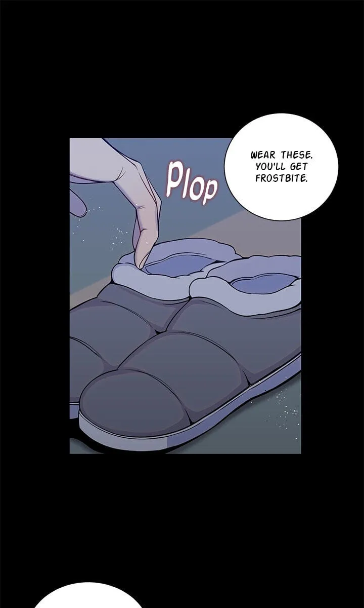 Cherry Blossoms After Winter Chapter 182 page 37 - 