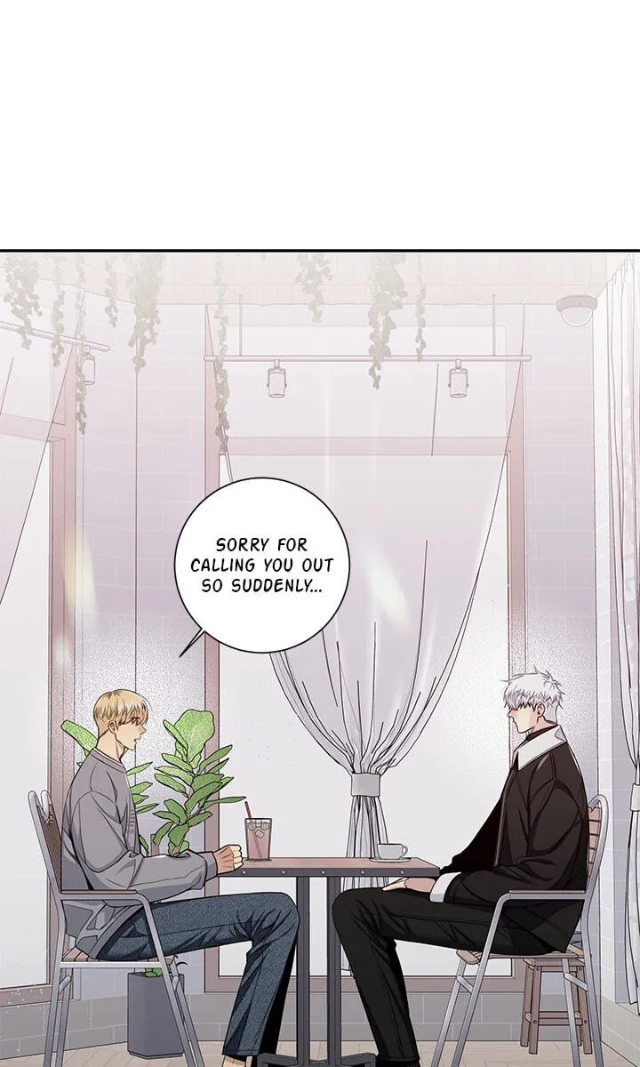Cherry Blossoms After Winter Chapter 183 page 14 - 
