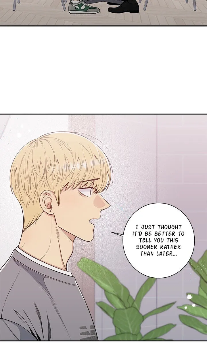 Cherry Blossoms After Winter Chapter 183 page 15 - 