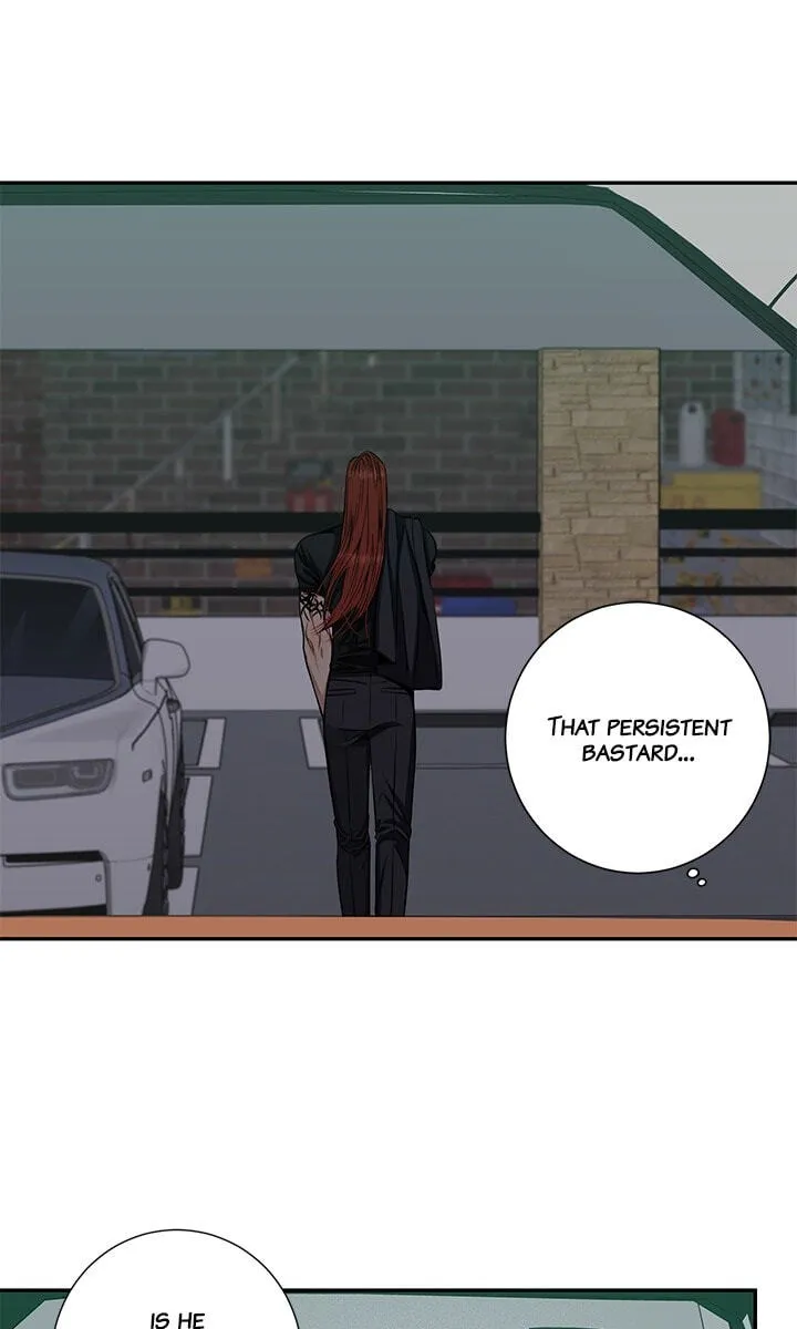 Cherry Blossoms After Winter Chapter 183 page 34 - 