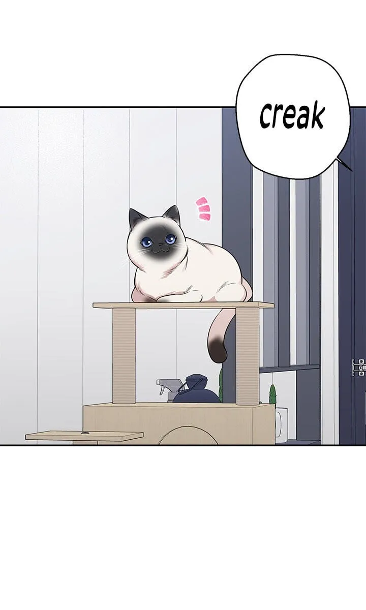 Cherry Blossoms After Winter Chapter 183 page 5 - 