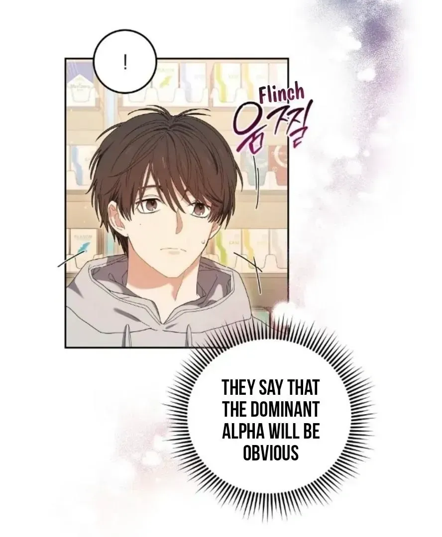 Read Cherry Cake chapter 1.3 image 57 on Lezhin