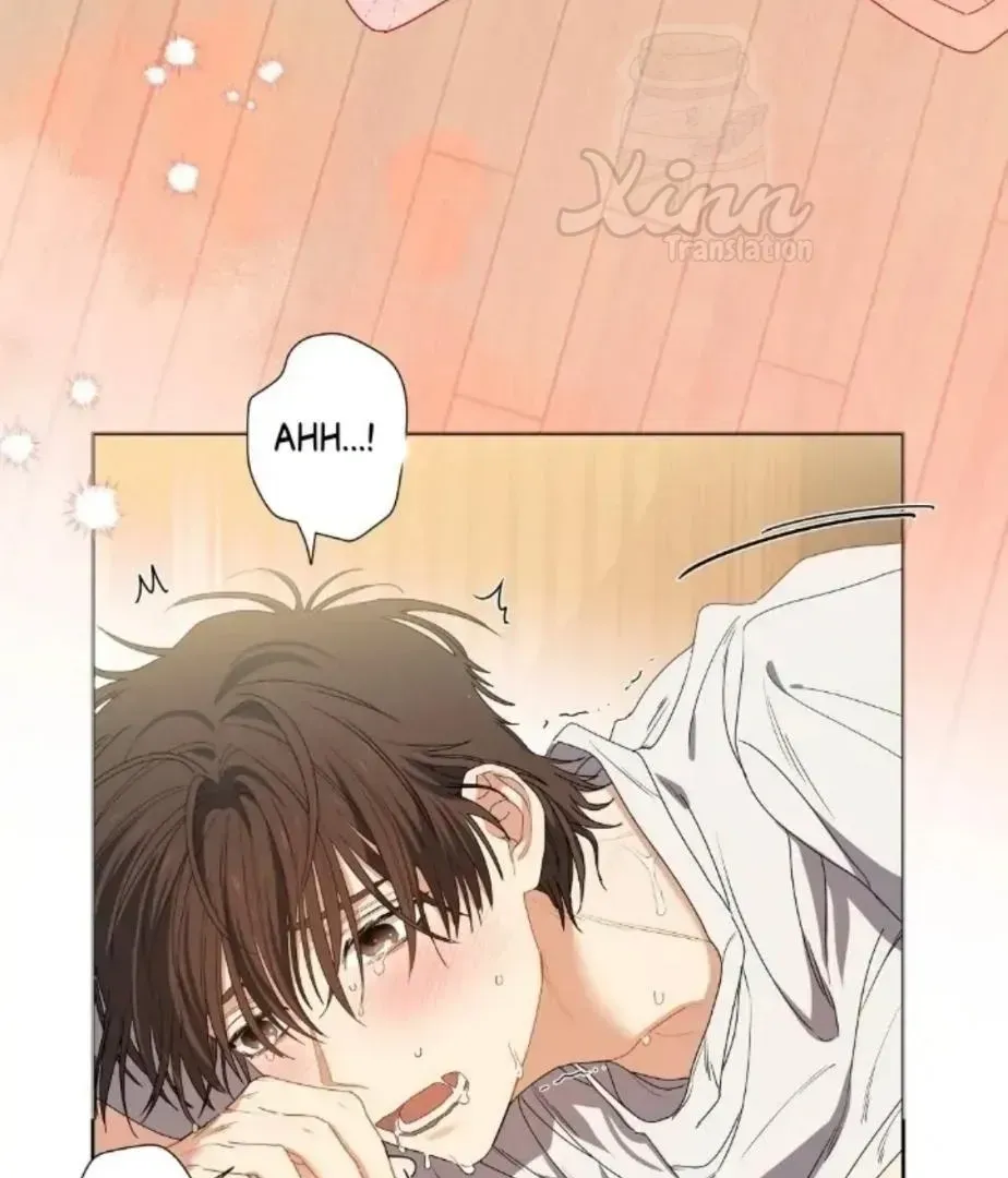 Read Cherry Cake chapter 1.3 image 6 on Lezhin
