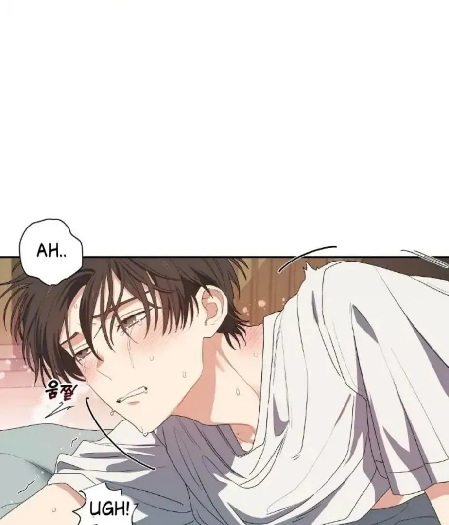 Read Cherry Cake chapter 1.3 image 8 on Lezhin