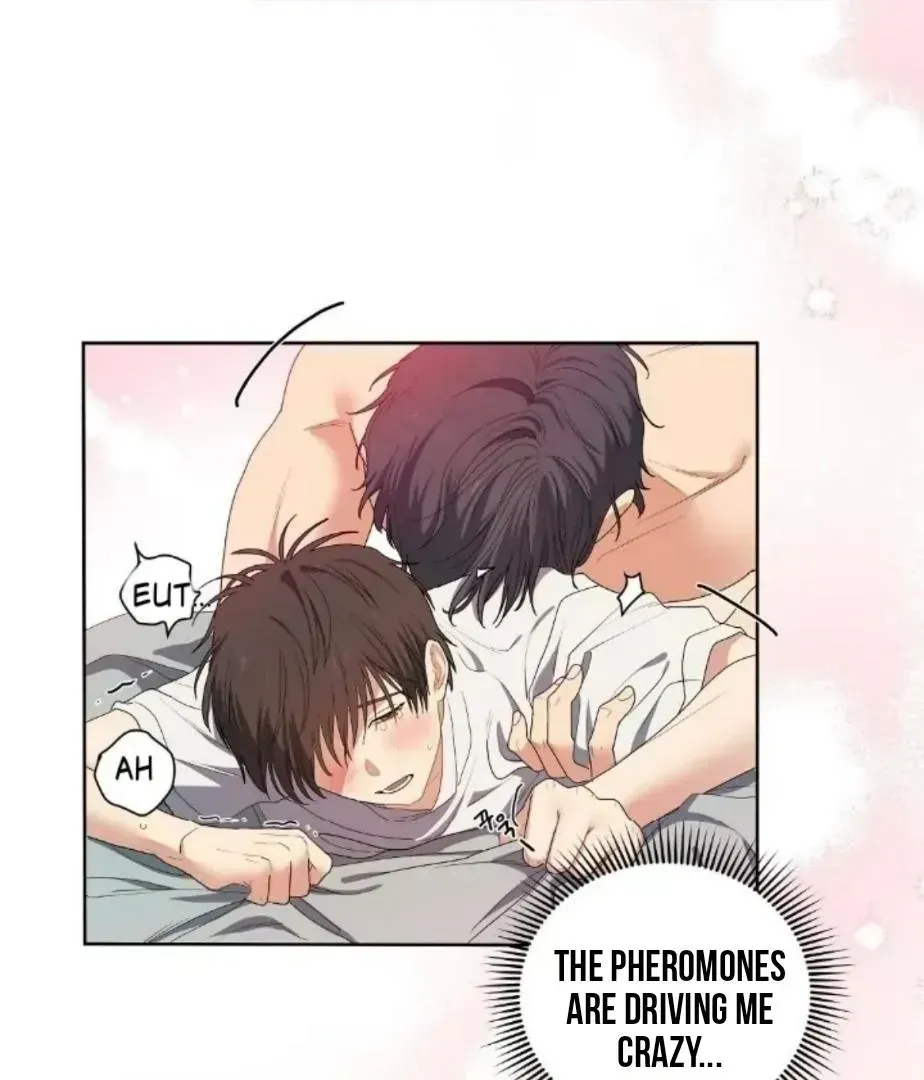 Read Cherry Cake chapter 1.9 image 10 on Lezhin