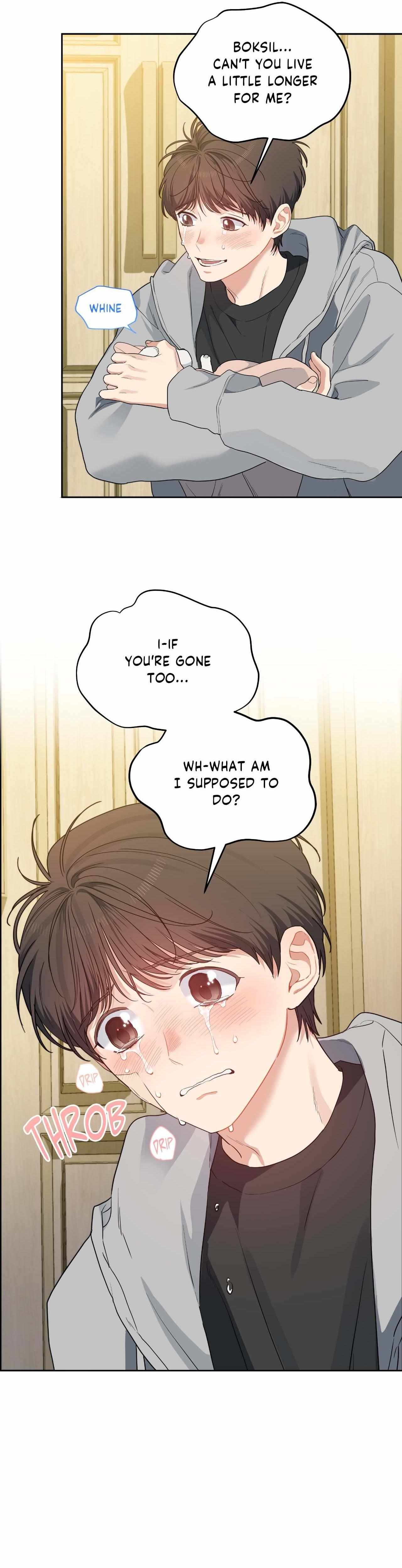 Read Cherry Cake chapter 35 image 12 on Lezhin