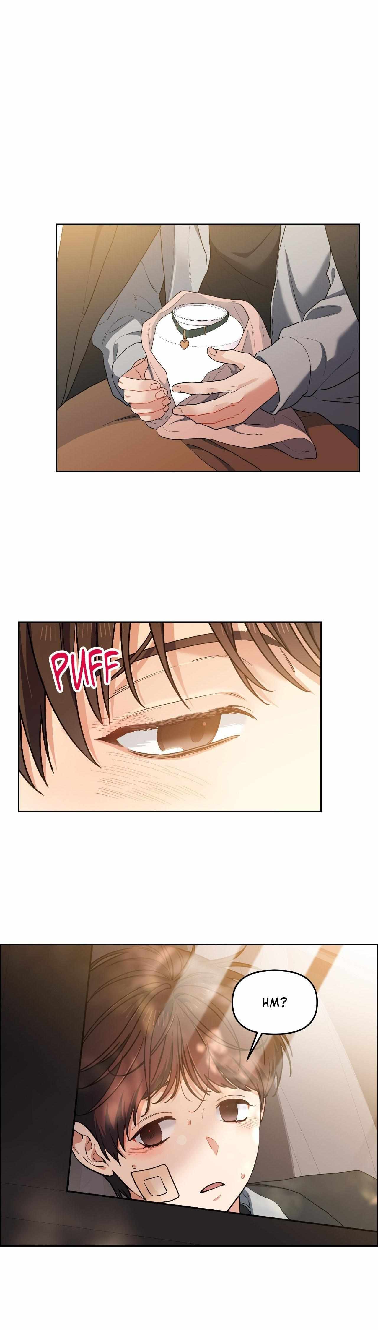 Read Cherry Cake chapter 36 image 12 on Lezhin