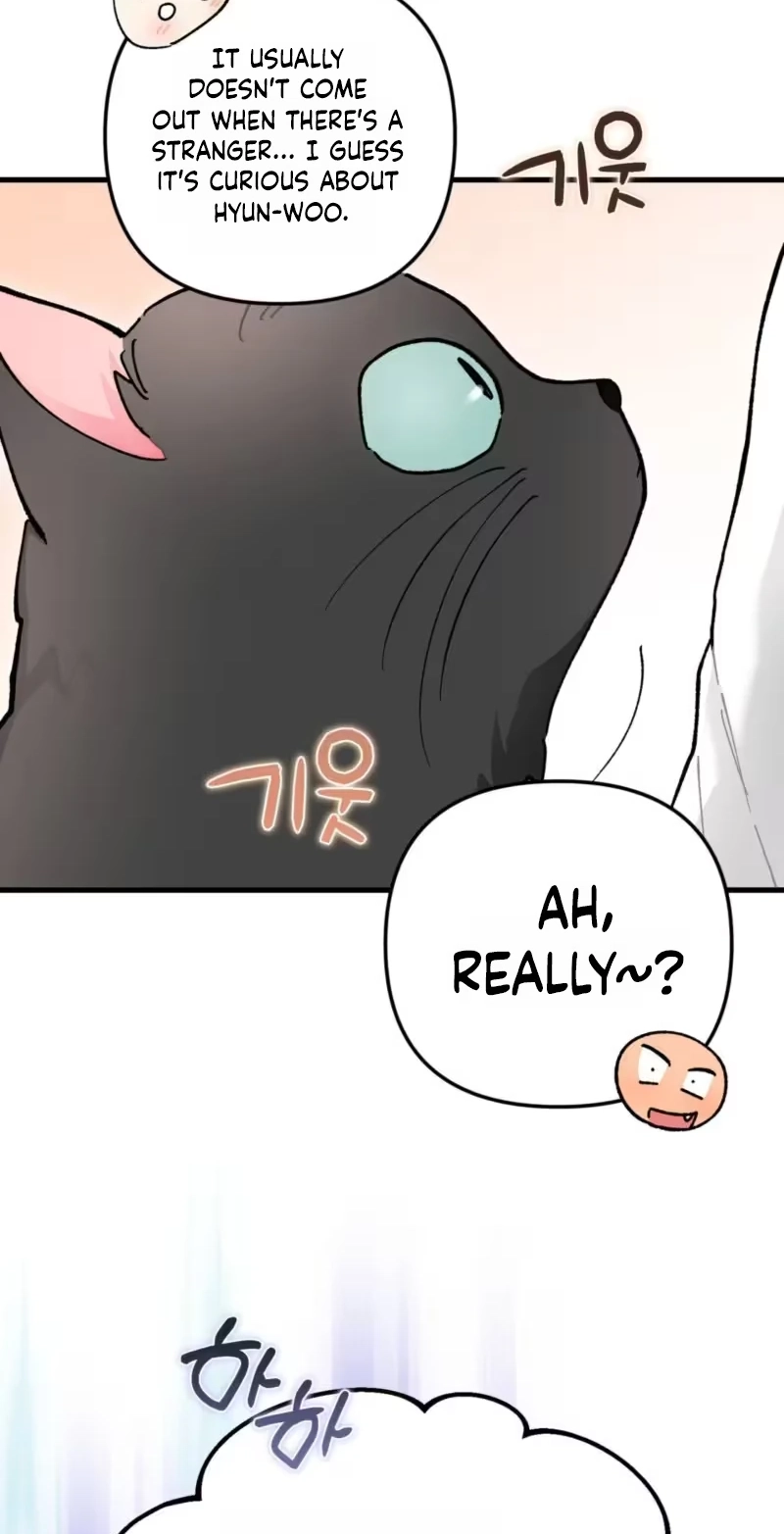 Cherry Pie Recipe Chapter 17 page 20 - 