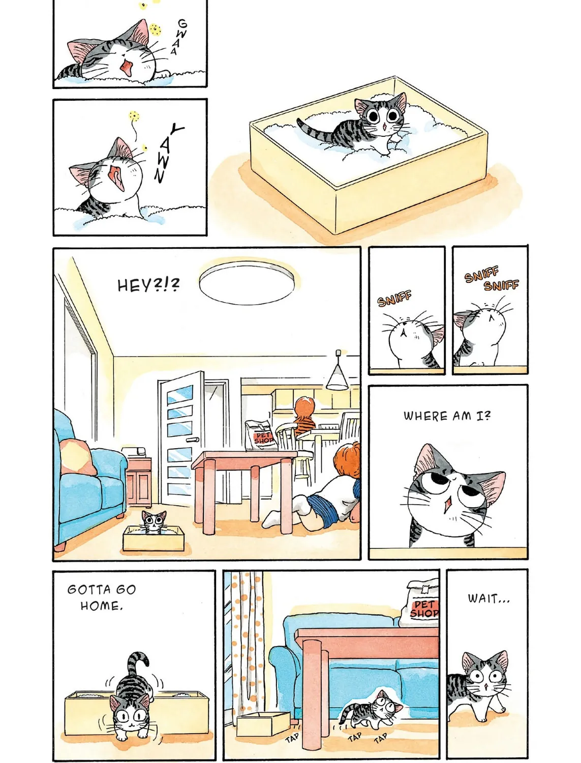 Chi's Sweet Home Chapter 2 page 3 - 