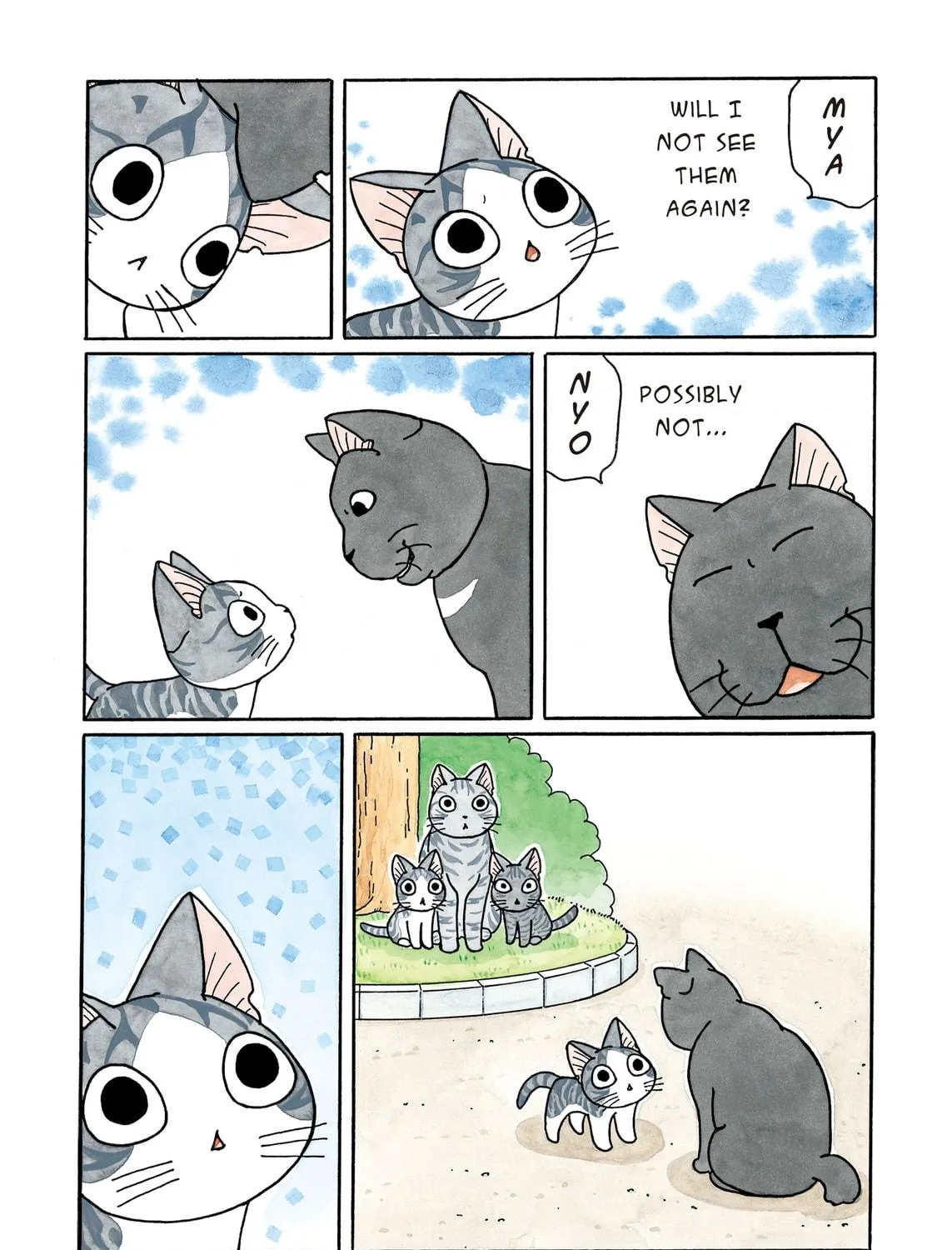 Chi's Sweet Home Chapter 213 page 5 - 