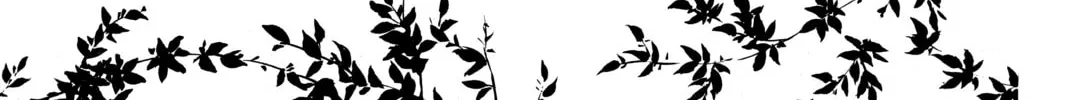 Read Chihayafuru chapter 147 image 43 on Lezhin