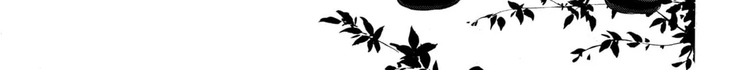 Read Chihayafuru chapter 153 image 1 on Lezhin