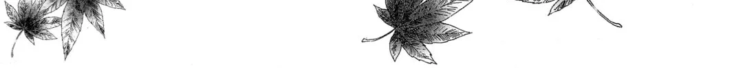 Read Chihayafuru chapter 174 image 1 on Lezhin