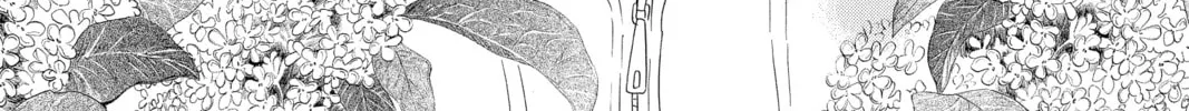 Read Chihayafuru chapter 190 image 57 on Lezhin