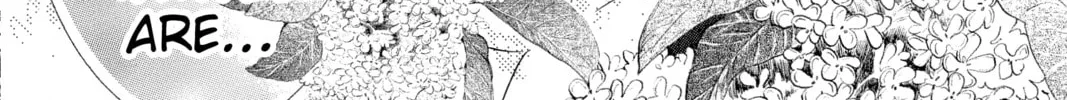 Read Chihayafuru chapter 191 image 63 on Lezhin