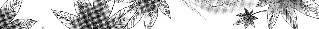 Read Chihayafuru chapter 206 image 57 on Lezhin