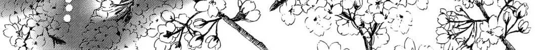 Read Chihayafuru chapter 216 image 45 on Lezhin