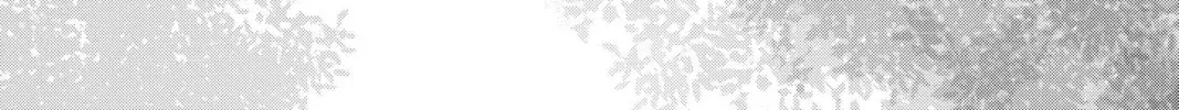 Read Chihayafuru chapter 232 image 45 on Lezhin