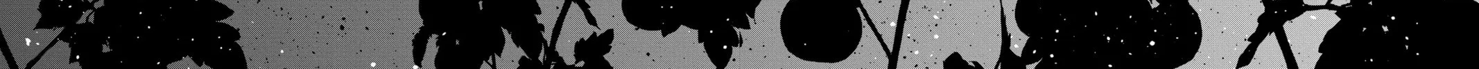 Chihayafuru Chapter 241 page 74 - 