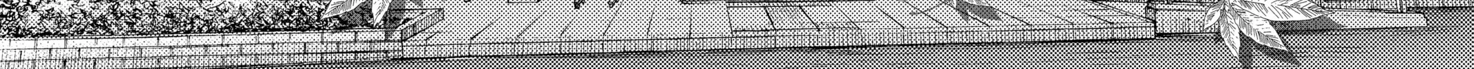 Chihayafuru Chapter 244 page 4 - 