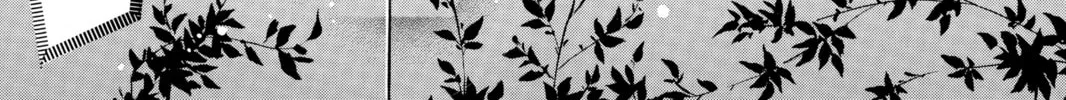 Read Chihayafuru chapter 46 image 25 on Lezhin