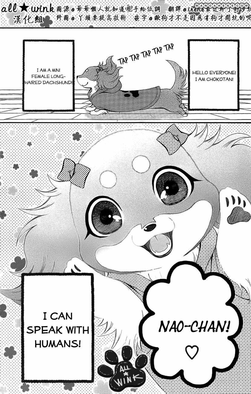 Read Chokotan! chapter 1 image 3 on Lezhin