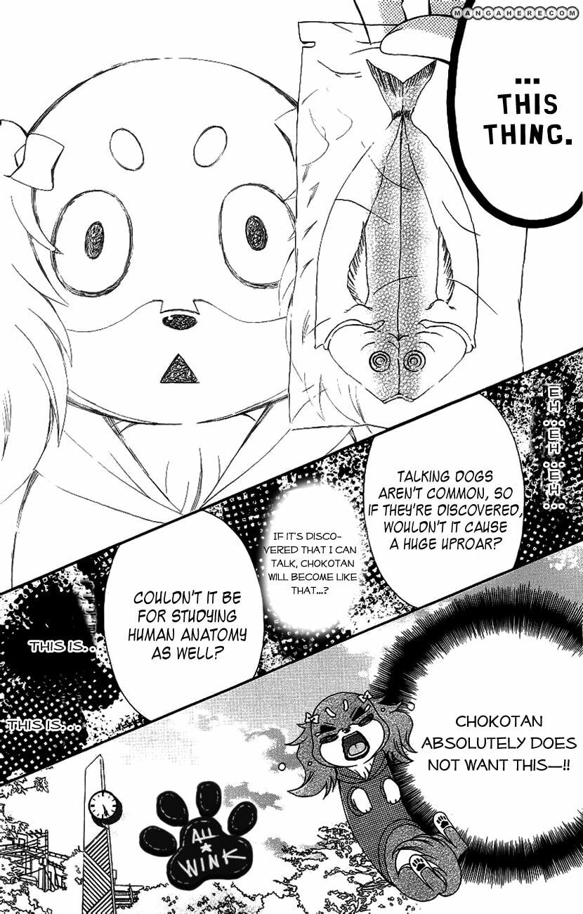 Read Chokotan! chapter 1 image 7 on Lezhin