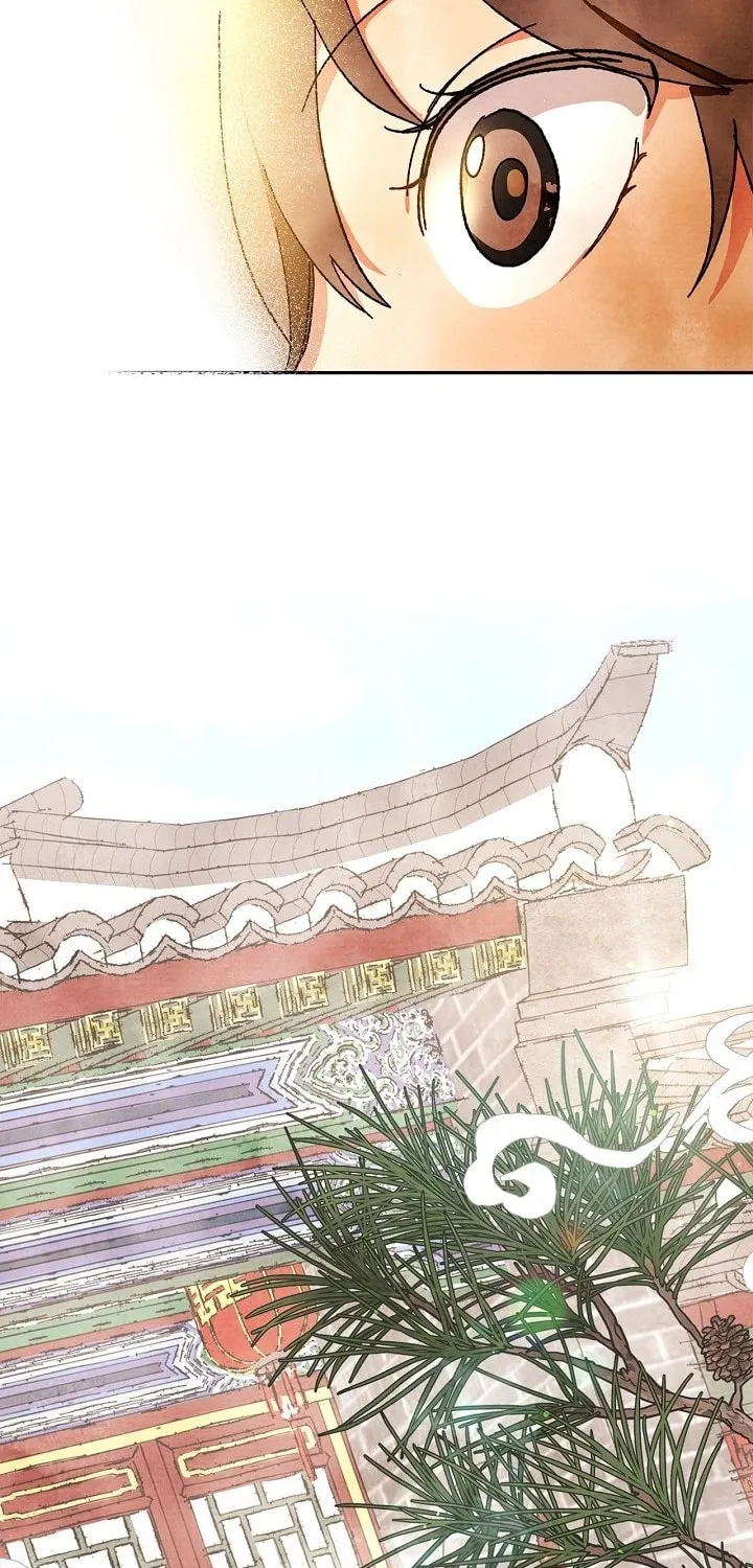 Read Chronicles of a Returner chapter 3 image 13 on Lezhin