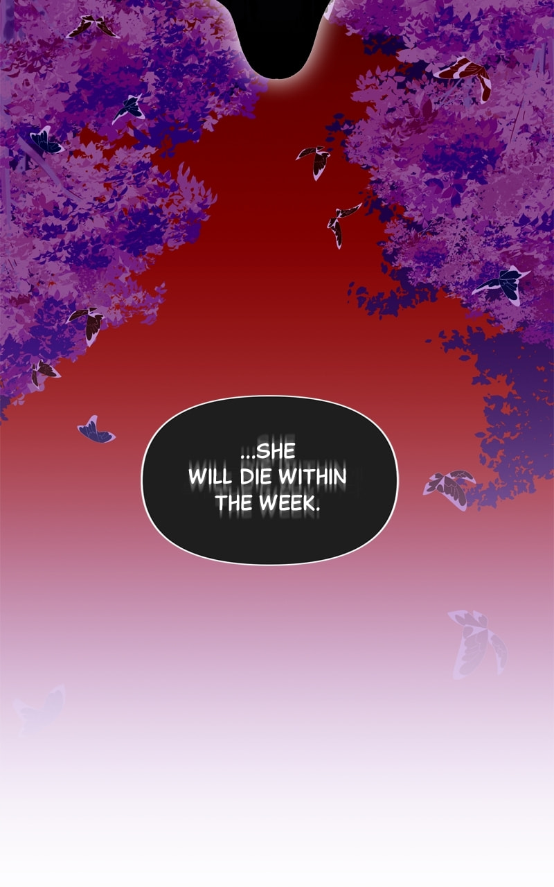 Cierra Chapter 61 page 15 - 