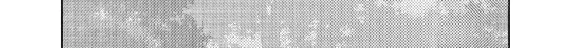 Read Ciguatera chapter 14 image 1 on Lezhin