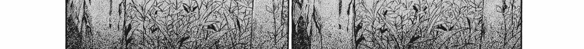 Read Ciguatera chapter 31 image 19 on Lezhin