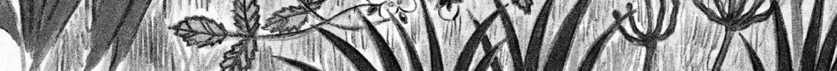 Read Ciguatera chapter 53 image 1 on Lezhin