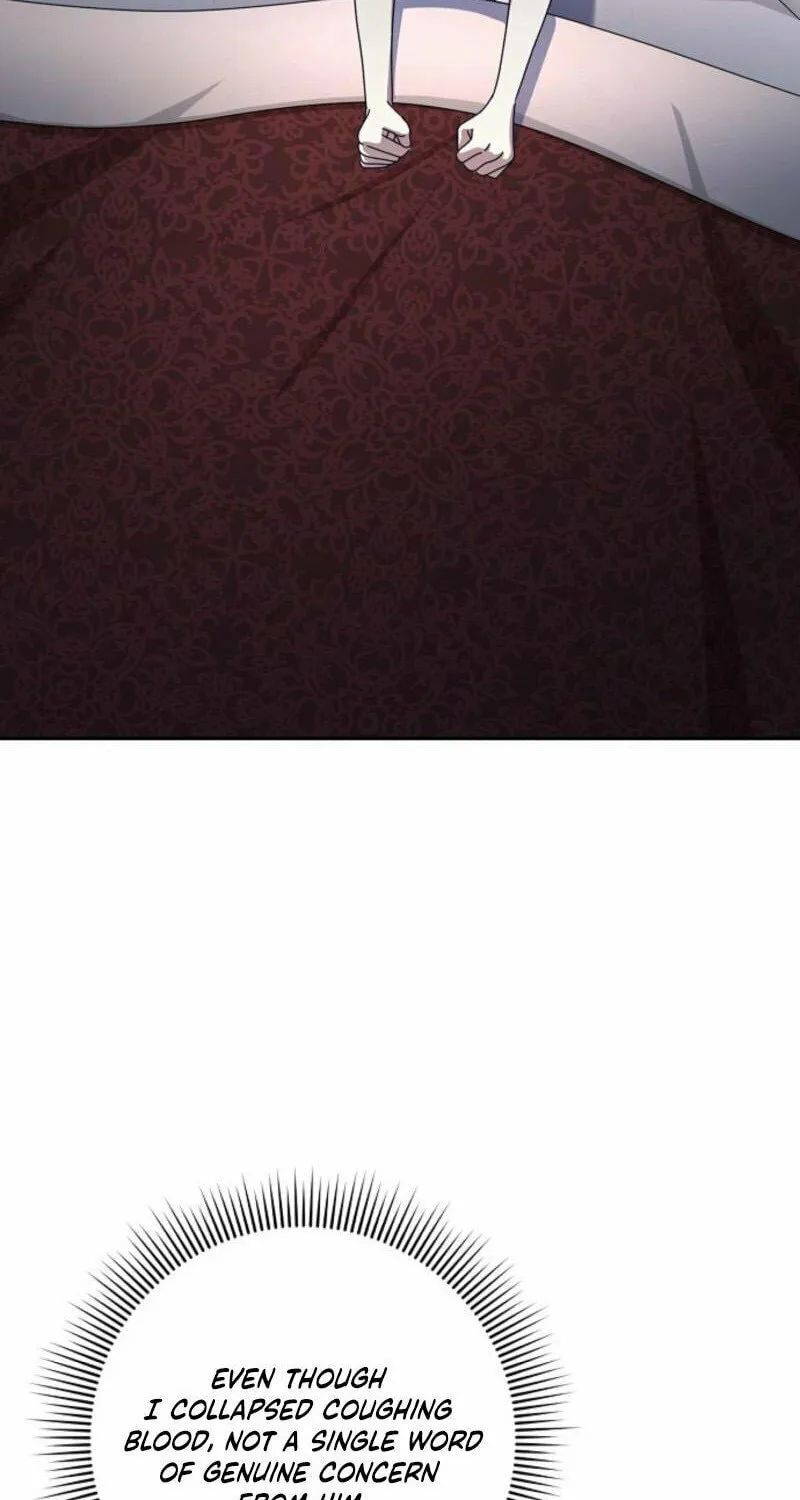Read Cinderella Disappeared chapter 73 image 73 on Lezhin